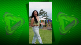 Redes Sociales Agencia Publicidad 01