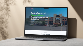 diseño WEB (1)